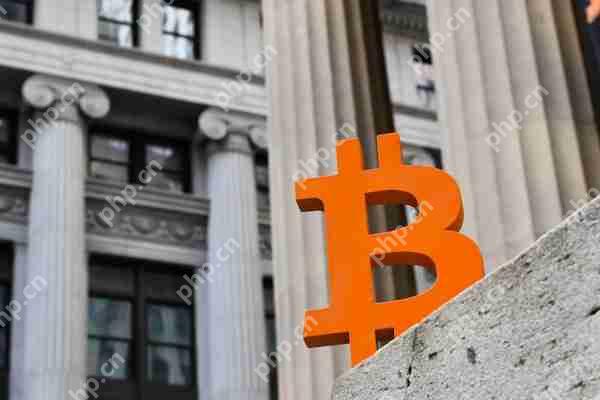 2倍比特币策略ETF的持有